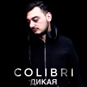 Album Дикая from Colibri