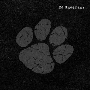 收聽Ed Sheeran的You Need Me, I Don't Need You (Live Ustream)歌詞歌曲