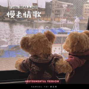 Album 慢老情歌 (Instrumental Version) from Samuel Tai (邰正宵)
