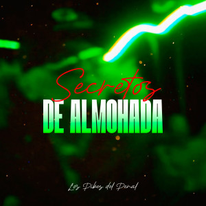 收聽Los Pibes del Penal的Secretos de Almohada歌詞歌曲