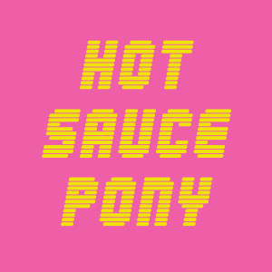 Album What You Don't Know from Hot Sauce Pony