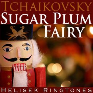 ดาวน์โหลดและฟังเพลง Tchaikovsky: Dance of the Sugar Plum Fairy, from The Nutcracker Suite พร้อมเนื้อเพลงจาก Helisek Ringtones