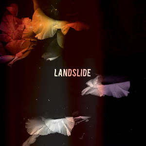 ดาวน์โหลดและฟังเพลง Landslide (ALTA Remix) พร้อมเนื้อเพลงจาก Bearcubs