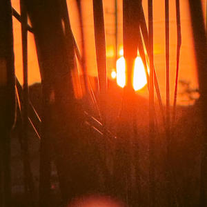 收聽JayTizzle的Me or You! (Explicit)歌詞歌曲