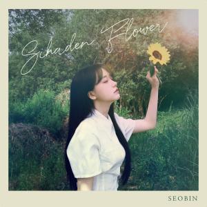 SEOBIN的專輯Schaden flower
