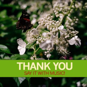 ดาวน์โหลดและฟังเพลง Anne of Green Gables: A New Beginning Theme พร้อมเนื้อเพลงจาก Peter Breiner