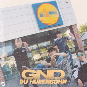 Album Du Hurensohn (Explicit) from Luko44