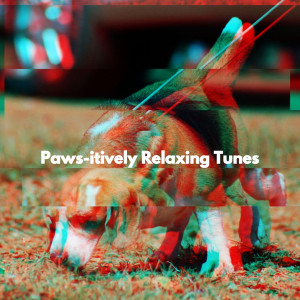 Paws-itively Relaxing Tunes