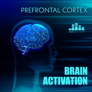 อัลบัม Prefrontal Cortex Brain Activation ศิลปิน Brain Waves Therapy