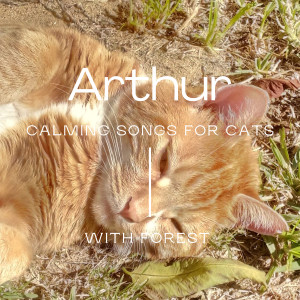 Dengarkan Arthur lagu dari Forest dengan lirik