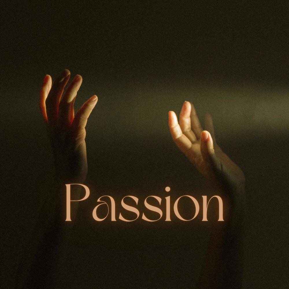 Passion (feat. Mitch Darrell)