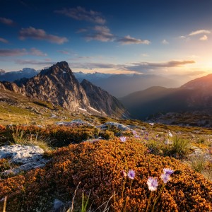 Relaxing Music Playlist Chill的專輯Music For Deep Relaxation And Peaceful Moments