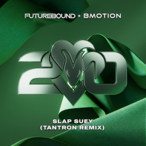 อัลบัม Slap Suey (TANTRON Remix) ศิลปิน Futurebound