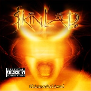 ดาวน์โหลดและฟังเพลง Dissolve (Explicit) พร้อมเนื้อเพลงจาก Skinlab