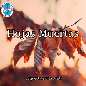 Listen to Aveva un Barbrero song with lyrics from Orquesta Santa Anita