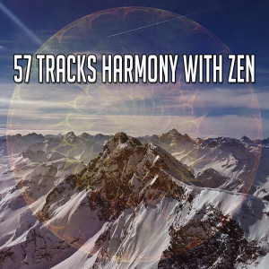 收听Meditation的Brief Enclosing Peace歌词歌曲