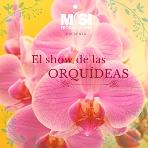 收聽MISI的Si Fuera Yo歌詞歌曲