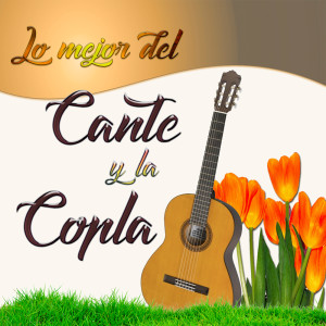 ดาวน์โหลดและฟังเพลง El Agüita del Querer พร้อมเนื้อเพลงจาก Miguel  de Molina