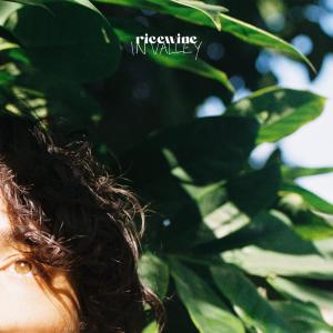 Album How Strange from Ricewine