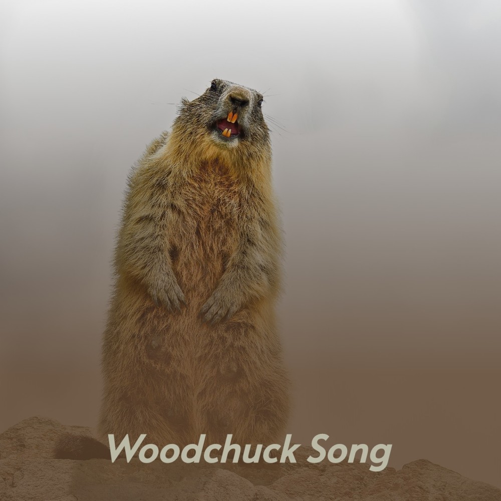 Woodchuck Song