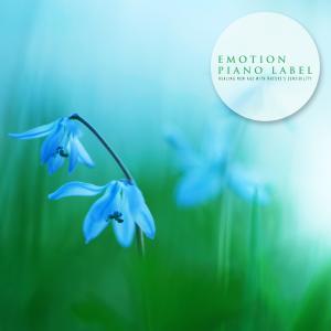 Album Healing New Age With Nature's Sensibility (Nature Ver.) from 
