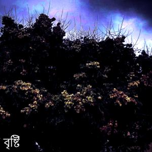 ดาวน์โหลดและฟังเพลง The Rain พร้อมเนื้อเพลงจาก DaMori