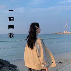 收听宋瑞的一拍两散歌词歌曲