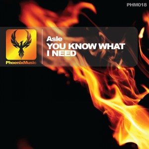 收聽Asle的You Know What I Need (Original Mix)歌詞歌曲