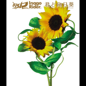 ดาวน์โหลดและฟังเพลง Ai -Kono Yono Hate- พร้อมเนื้อเพลงจาก 175R