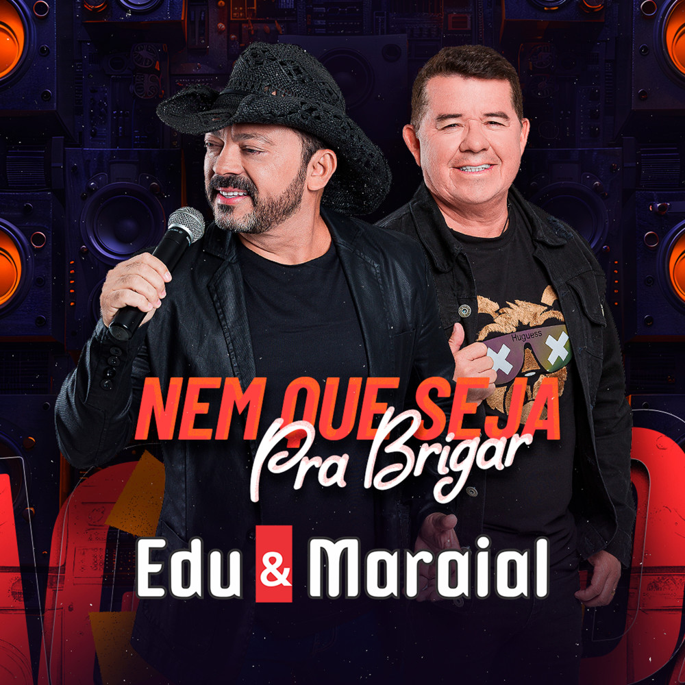Nem Que Seja pra Brigar
