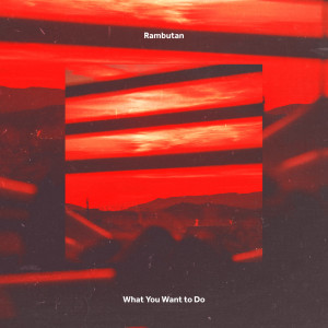Album What You Want to Do from Rambutan