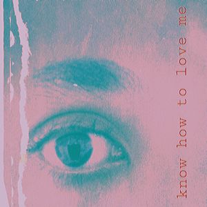 ดาวน์โหลดและฟังเพลง Did No Know How to Love Me พร้อมเนื้อเพลงจาก Véronique & Patrick