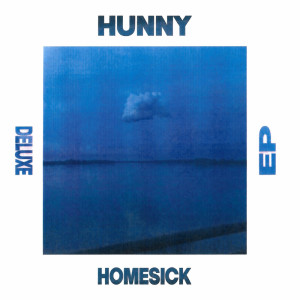 收聽Hunny的Homesick (slenderbodies remix) (Explicit)歌詞歌曲