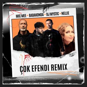 อัลบัม Çok Efendi (feat. Babakonda & Nellie) [Dj Mystic Remix] ศิลปิน Mic Mee