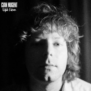 ดาวน์โหลดและฟังเพลง Lost Your Way พร้อมเนื้อเพลงจาก Cian Nugent