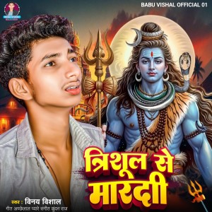 Album Trishul Se Mardi from Vishal Babu