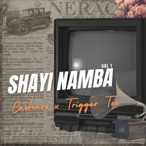 Listen to Twerka song with lyrics from Trigger Tee