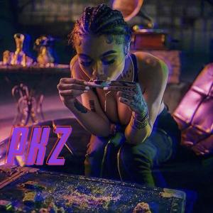 Album Plakozoz (feat. Mara Rpl, J. Anderson & Ed sans) (Explicit) oleh Yung Dm
