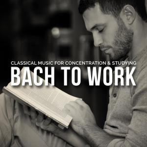 收聽Mark Lubotsky的Concerto for Violin, Oboe and Strings in D Minor, BWV 1060: II. Adagio歌詞歌曲