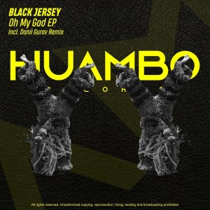 Listen to Something for Your Mind (Danil Gurov Remix) song with lyrics from Black Jersey