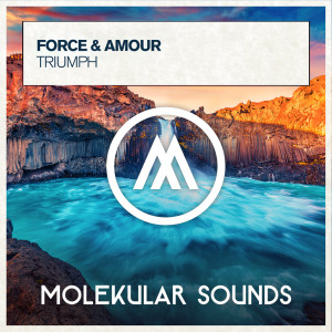 Force & Amour的专辑Triumph