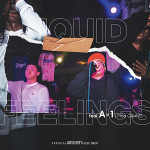 Album FEELINGS (feat. A-1) oleh Liquid