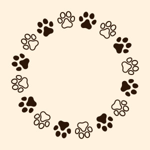 อัลบัม Canine Harmony: Piano for Dogs ศิลปิน Classical Piano Playlist