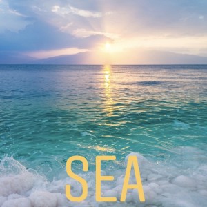 ดาวน์โหลดและฟังเพลง Sea พร้อมเนื้อเพลงจาก Drozd X