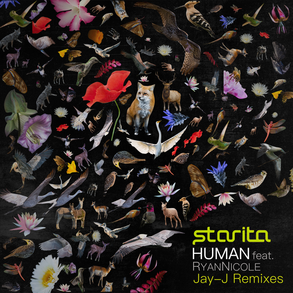 HUMAN (Jay-J's Shifted Up Dub)