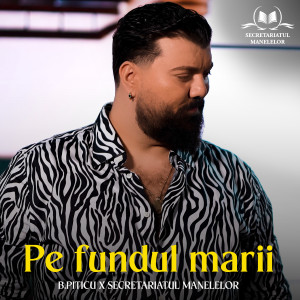 Listen to Pe fundul marii song with lyrics from B.Piticu