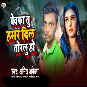 Album Bewafa Tu Hamar Dil Todlu Ho from 