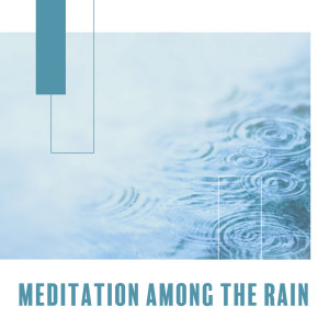 Album Meditation Among the Rain - Cleansing Body and Soul  Healing Music from Raindrops Healing Music Universe