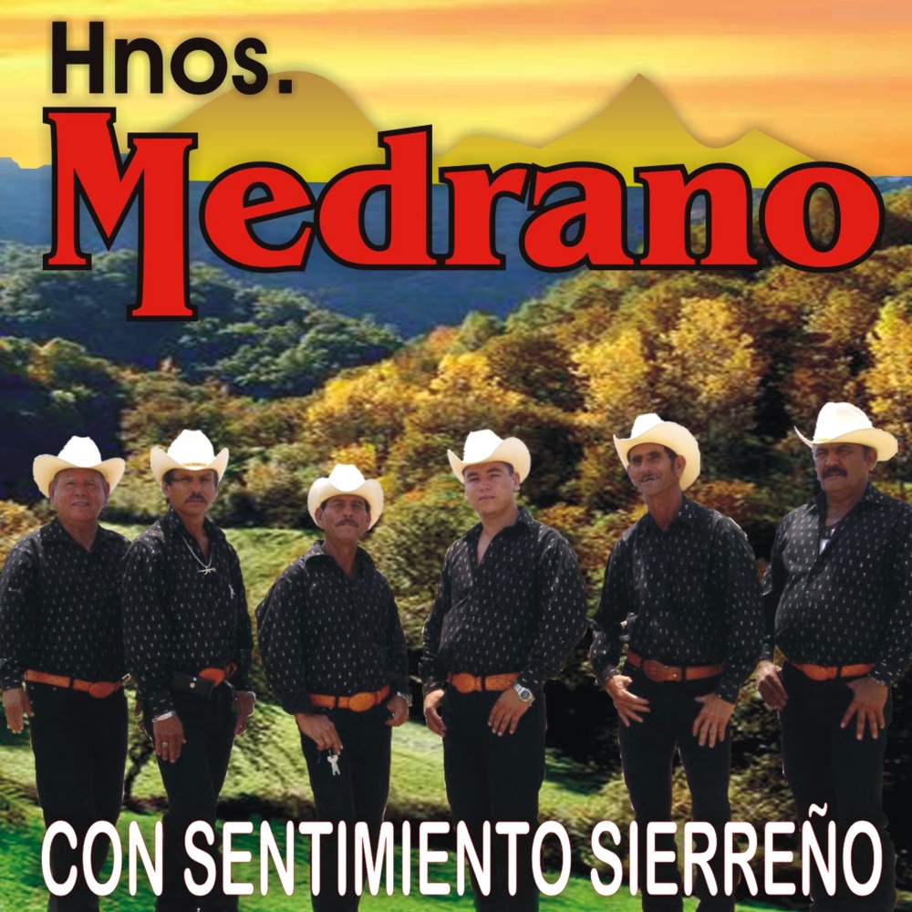 Triste Gaviota