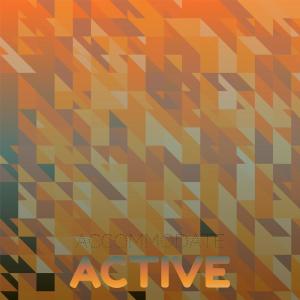 อัลบัม Accommodate Active ศิลปิน Various